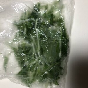 水菜の冷蔵保存、冷凍保存✧˖°